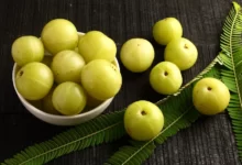 ما هي فوائد البمبر تعرف على أهم 3 فوائد