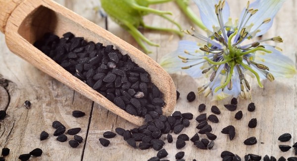 فوائد حبة البركة السوداء