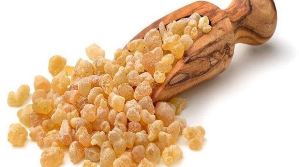 فوائد لبان الذكر | تعرف على أهم الاستخدام والعلاجات المهمة