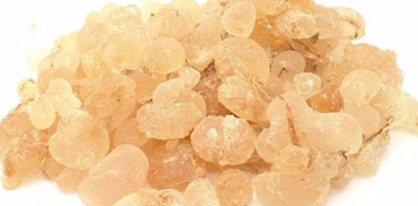 الصمغ العربي فوائده والاحتياطات اللازمة