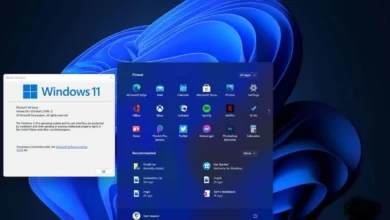 windows 11 الجديد