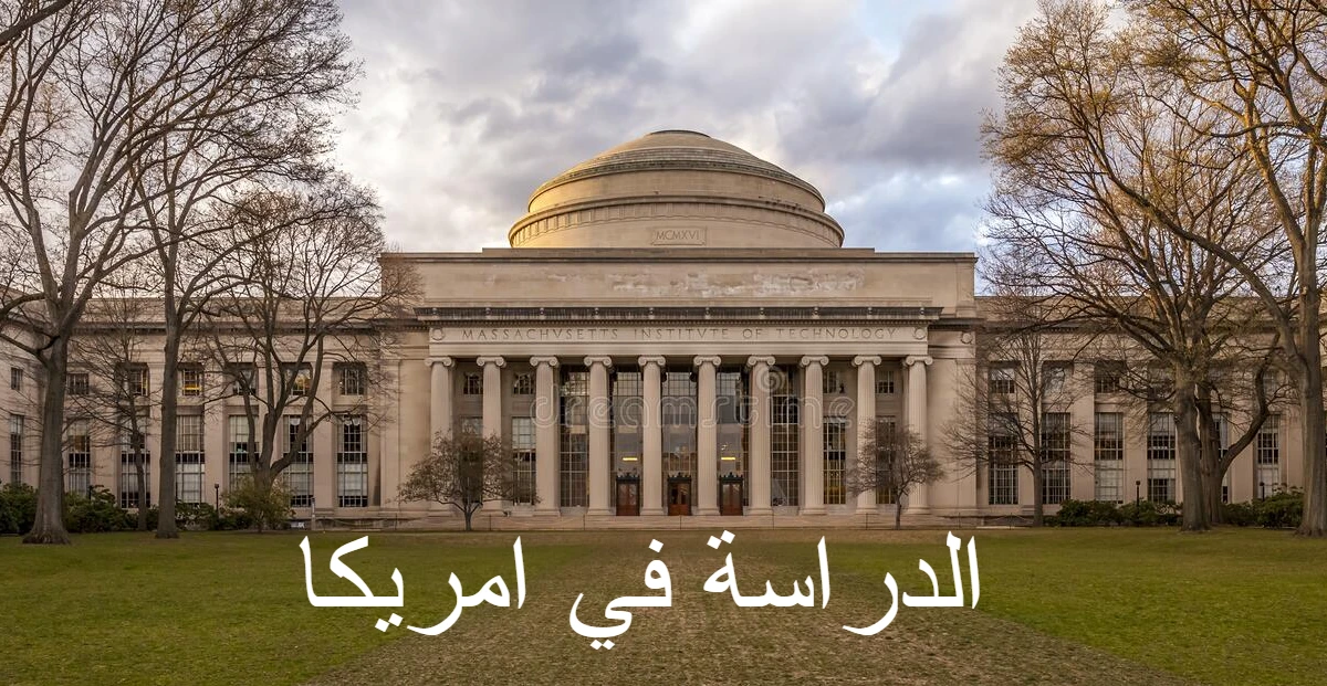 طريقة الدراسة في امريكا