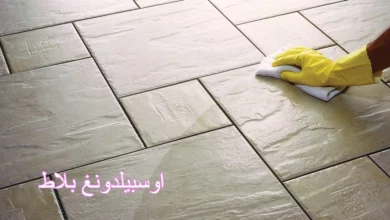 اوسبيلدونغ بلاط
