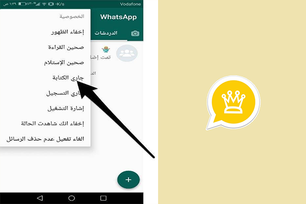 اخفاء جاري الكتابة