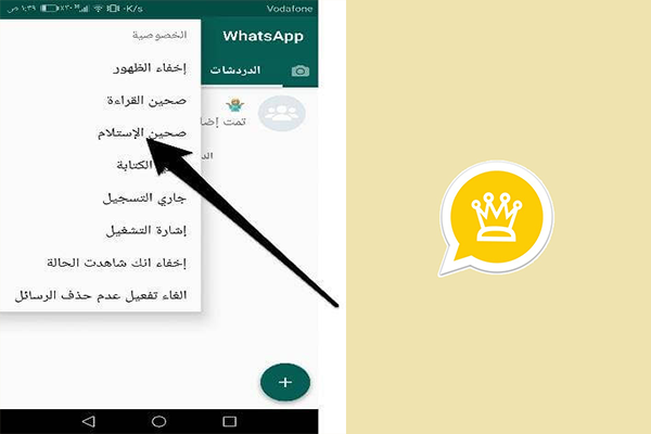 اخفاء صحين الاستلام