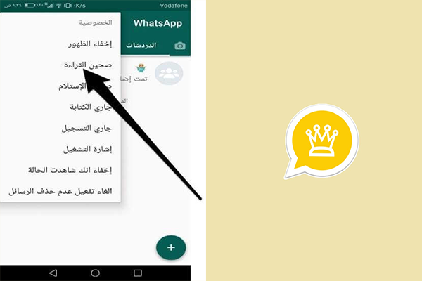 اخفاء صحين القراءة
