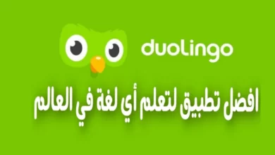 دولينجو 2.jp3