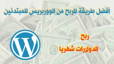 كسب المال باستخدام ورد بريس