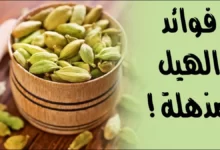 فوائد الهيل
