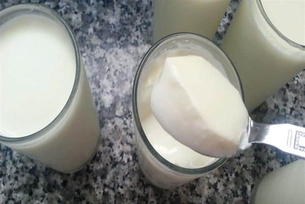 طريقة صنع الزبادي البلدي