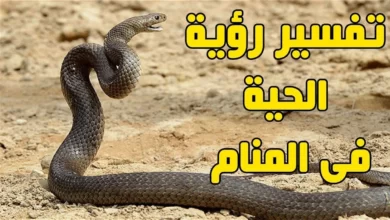 رؤية الثعبان في المنام