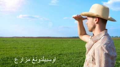 اوسبيلدونغ مزارع
