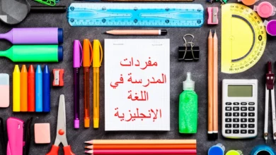 مفردات المدرسة في اللغة الإنجليزية