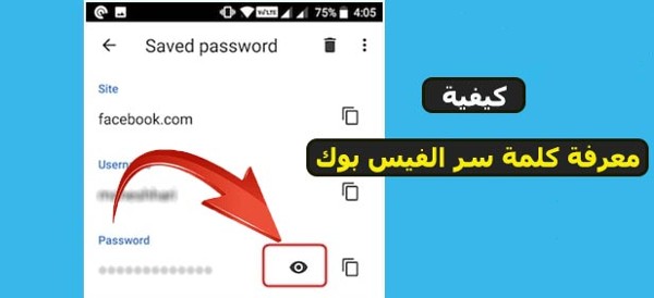 طريقة معرفة كلمة سر الفيس بوك
