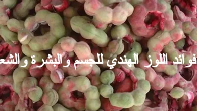 فوائد اللوز الهندي للجسم والبشرة والشعر