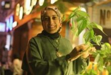 رواية فتاة الأبلق