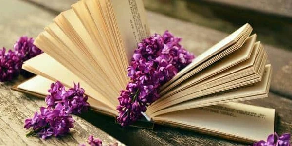 عبارات جميلة عن الحياة 