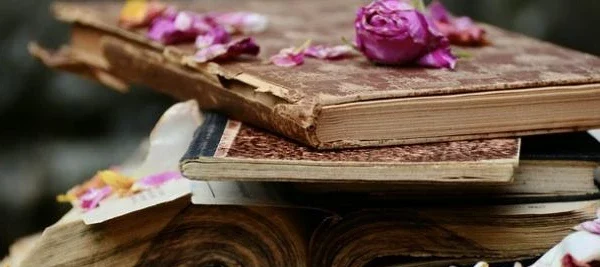 عبارات جميلة عن الحياة 