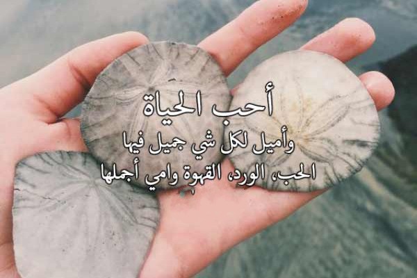 عبارات جميلة عن الحياة