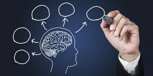 معلومات هامة ومفيدة