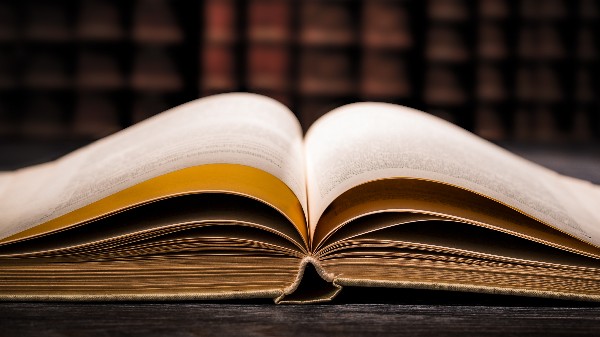 كتاب زهرة جلجامش - خواطر مجمعة للكاتبة هاجر حلمي