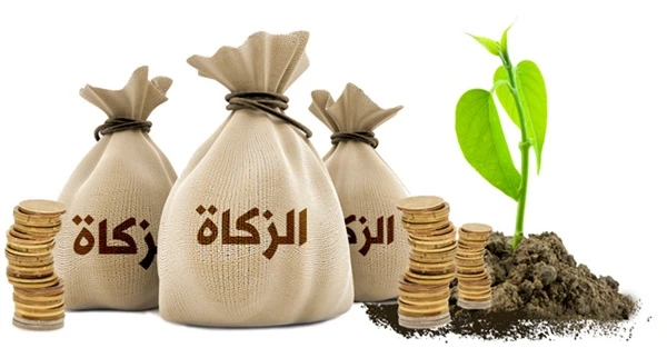 مقدار الزكاة