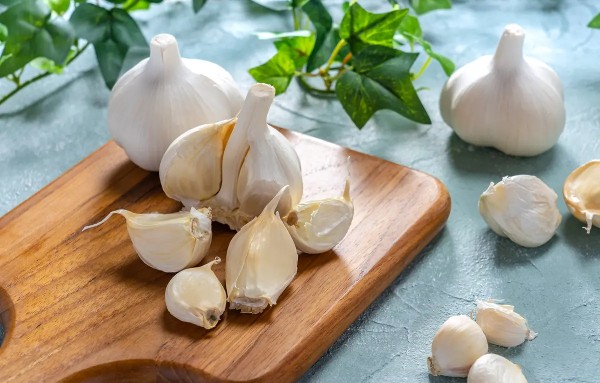 علاج التهاب المسالك البولية