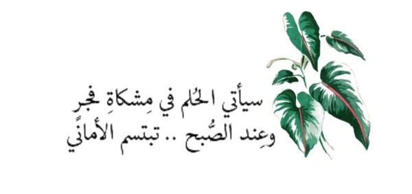اقتباسات جميلة