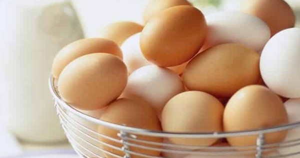 تفسير رؤية البيض في المنام