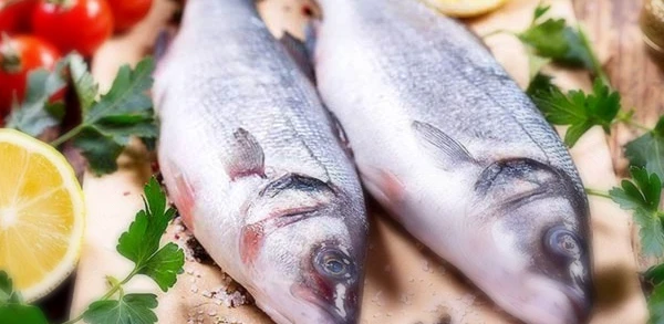 تفسير رؤية السمك في المنام
