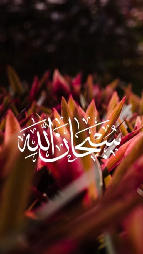 خلفيات للموبايل دينية للنساء