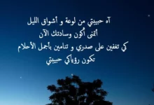 شعر عن النوم