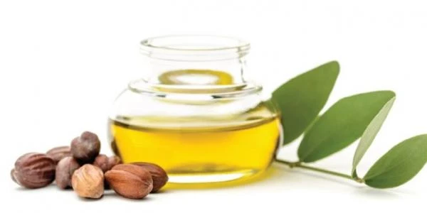 زيت الجوجوبا