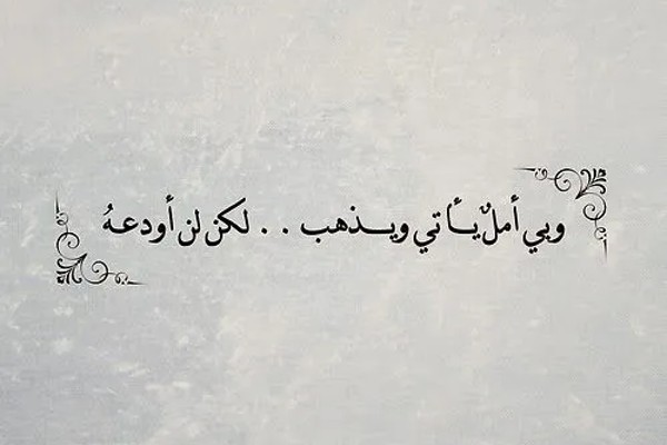 عبارات جميلة