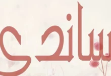 اسم ساندي