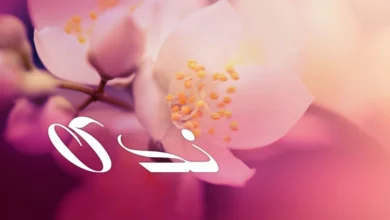 اسم ندى