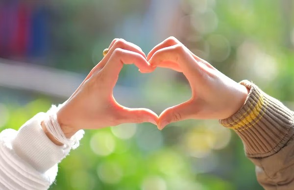 شعر عن الحب
