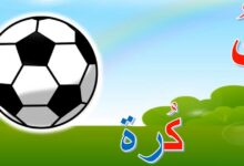 أسماء جماد بحرف الكاف