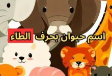 أسماء حيوانات بحرف الطاء