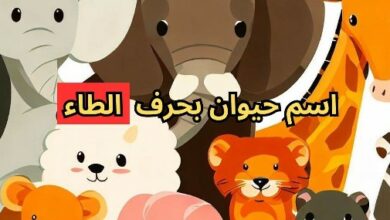 أسماء حيوانات بحرف الطاء