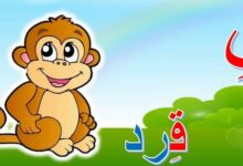 أسماء حيوانات بحرف القاف