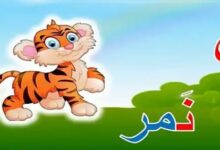 أسماء حيوانات تبدأ بحرف النون