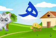 أسماء حيوانات تبدأ بحرف الهاء