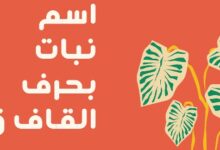 أسماء نبات بحرف القاف