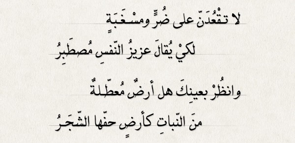 اقتباس قصير شعر