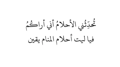 اقتباس شعر