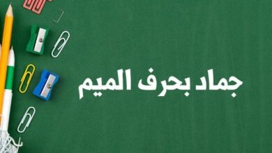 حرف الميم