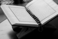 عجائب قراءة سورة البقرة كل يوم