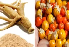 عشبة الاشواجندا