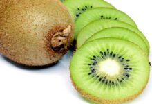 اهم فوائد الكيوي والقيم الغذائية به 26 فوائد الكيوي